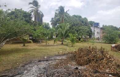 Imagem 5: Terreno à venda, 3123 m² por R$ 1.800.000,00 - Turu - São Luís/MA