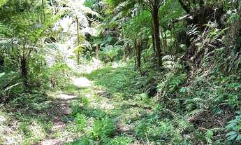 Imagem 4: Terreno para chácara