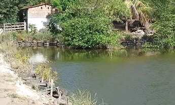 Imagem 5: Sítio com 9 viveiros camarão/peixes