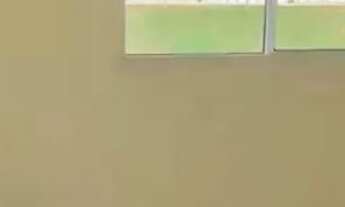 Imagem 7: Ap conquista do girassol