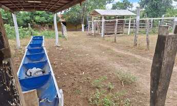 Imagem 5: Sitio na estrada da produção !