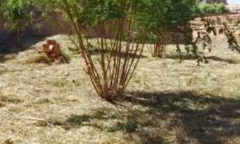 Imagem 3: Excelente terreno 19x30 550.000