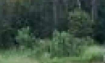 Imagem: Terreno à venda em VALINHOS, Passo Fundo