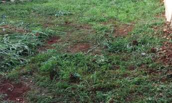 Imagem 7: Lote com 360m² no Setor Cristina, Trindade