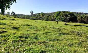 Imagem 6: Fazenda em campo florido minas