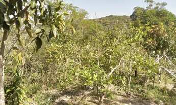 Imagem 6: 4500 mts agua gravidade 60 entrada1500 por mes total 120 mil reais