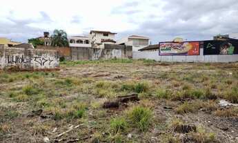 Imagem 5: Lotes comerciais para locação na Avenida Professor João Fiúsa