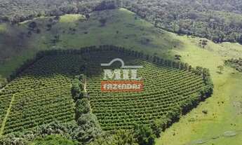 Imagem: Fazenda EXTRA em Goiânia 73 alqueires (353,32