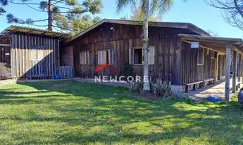 Imagem 3: Chácara em Criúva (caxias do Sul) - Criúva - Criúva/RS