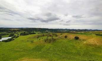 Imagem: Venda de Chácara Perfeita com Jardim e