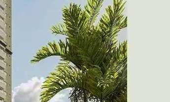 Imagem 3: Descubra o verdadeiro significado de uma bela vida no Bella Vita! ?