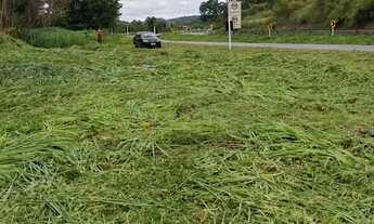 Imagem 5: Terreno.rodovia 424