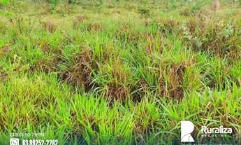 Imagem 5: João Pinheiro - MG 2km das margens do rio Santo Antônio