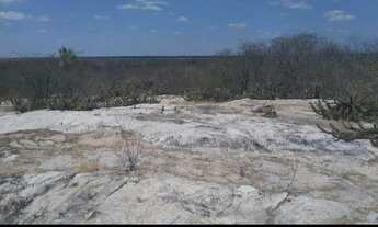 Imagem 3: Fazenda de caju / uruau