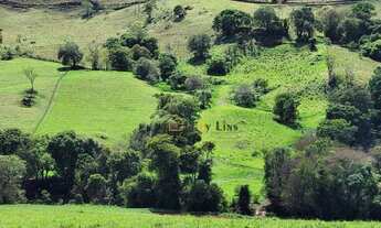 Imagem 7: Maravilhoso terreno a venda na cidade de Socorro, com área de 54.000 m², formado em pasto