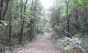 Imagem: Bela área de 77.000 m² com infraestrutura