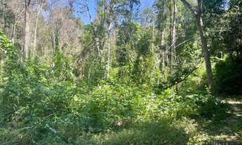 Imagem 5: Fazenda à venda, 1.040 Hectares em Recursolândia/TO