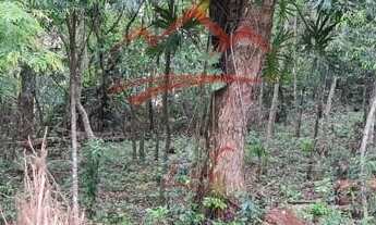 Imagem 3: Lote/Terreno para venda com 718 m² em Siriú - Garopaba - SC