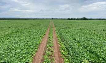 Imagem 1: Fazenda à venda, 1.100 Hectares em Araguacema do Tocantins