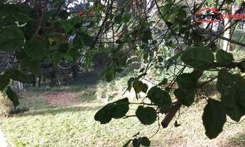 Imagem 4: Terreno residencial à venda, Granja Viana, Cotia