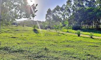 Imagem 4: Excelente sítio com 7 hectares em IMARUÍ -SC