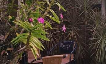 Imagem 2: Lindo Imóvel venha conferir