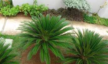 Imagem 6: Apartamento com 2 dormitórios à venda, 49 m² por R$ 400.000,00 - Residencial Spazio Ponte