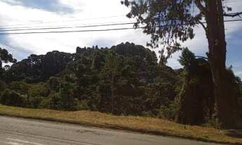 Imagem 2: Terreno no Morro do Elefante 5800m