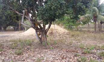 Imagem: Granja em Macaíba