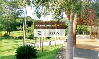 Imagem 3: Oportunidade !! Sítio Premium 5.5 Alqueires Região de palmeiras Go !!