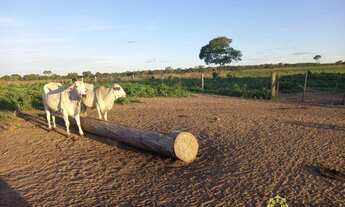 Imagem: Fazenda à venda 764 Ha - Cristalândia/TO