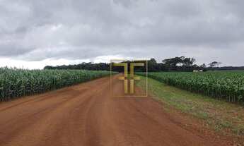 Imagem 5: Fazenda 700 Hectares, Miracema do Tocantins, TO