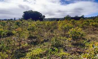 Imagem 4: Chácara à venda, próximo das praias e ótimo para plantio!<br>localizada em Passo de