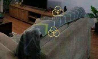 Imagem: R-Apartamento com 3 dormitórios à venda