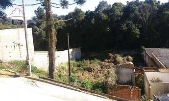 Imagem 2: Terreno à venda, 1129 m² por R$ 600.000,00 - Vista Alegre - Curitiba/PR