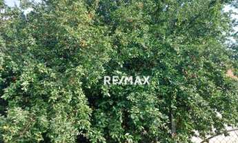 Imagem 2: Casa com 2 dormitórios à venda, 200 m² por R$ 120.000,00 - Sete Copas - Indiana/SP