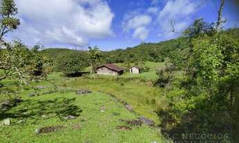 Imagem: Lote / Terreno em Morro do Gato - São Pedro