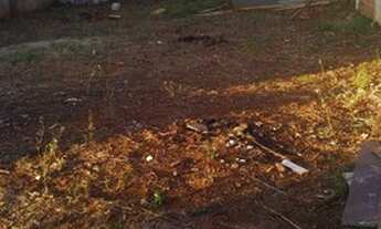 Imagem 4: Terreno Comercial 3 Quadras Av Guaiapo 306 Mts