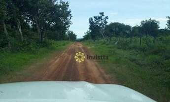 Imagem 3: Fazenda à venda, 720 Hectares em Abreulândia do Tocantins