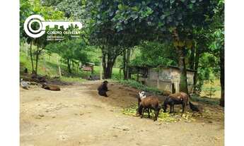 Imagem 3: Chácara a venda em JACUPIRANGA