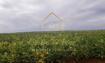 Imagem 2: Vendo ótima fazenda em Sinop-MT