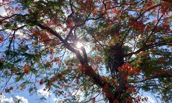 Imagem: Área à venda, 7537 m² por R$ 1.125.000,00