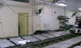 Imagem: Barracão, 237 m² - venda por R$ 460.000