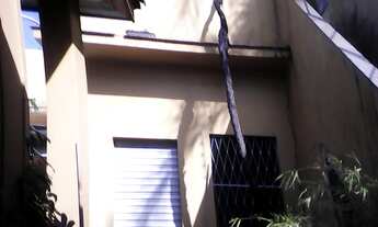 Imagem 6: Porto Alegre - Casa Padrão - Partenon