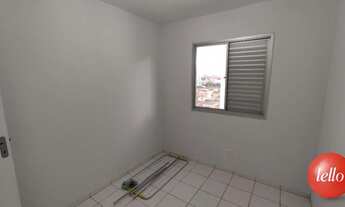 Imagem 7: São Paulo - Apartamento Padrão - Vila Guilherme