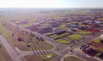 Imagem 2: Área para investimento a venda com 338.800 metros quadrados Presidente Epitácio - SP