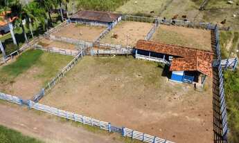 Imagem 2: VENDO FAZENDA 695HA - MUNICÍPIO DE BURITIS