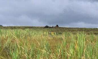 Imagem 5: Excelente oportunidade! Sítio com área de 115 alqueires em São Simão/SP. Aproveite!