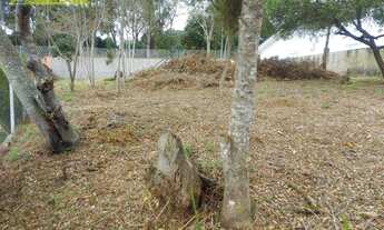 Imagem 2: Terreno à venda, 620 m² por R$ 250.000,00 - Colinas de Caucaia - Cotia/SP