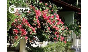 Imagem 3: Chácara a venda em Cajati-SP